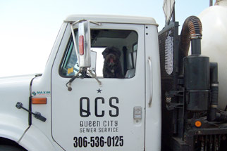 Dog in truck Dog in truck